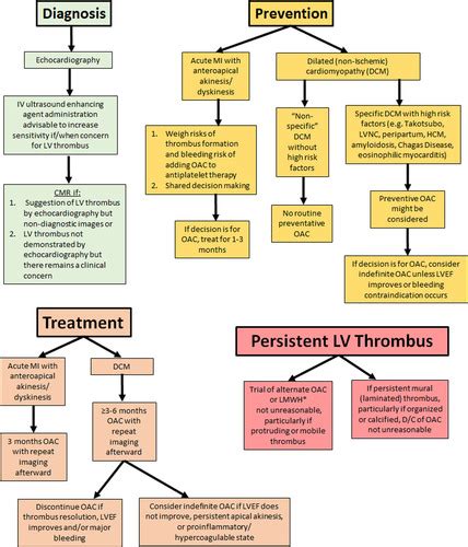 lv thrombus complications|left ventricular thrombus prognosis.